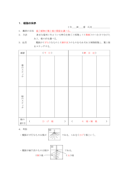 ［板書例］被子植物の葉と根の関係を調べる