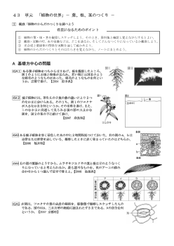 （学力向上問題集）　観察「植物のからだのつくりを調べよう」