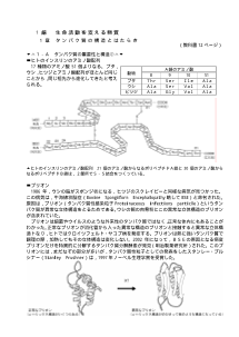 [生物 補充プリント]タンパク質の重要性と構造（２）