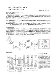 [生物 補充プリント]代謝とエネルギー