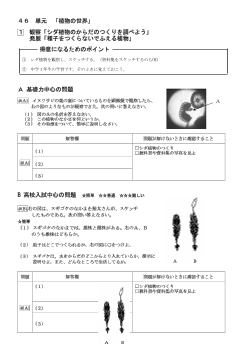 （学力向上問題集）　観察「シダ植物のからだのつくりを調べよう」