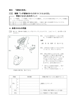 （学力向上問題集）　観察「シダ植物のからだのつくりとふえ方」