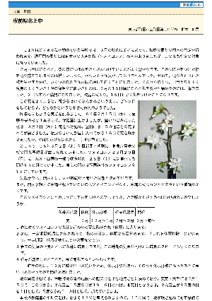 桜前線北上中