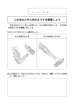 ７　人のほねと筋肉のようすを観察しよう（4年「人の体のつくりと運動」）