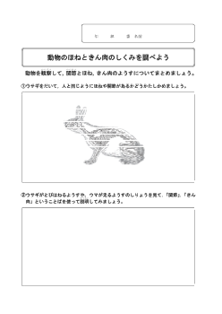 ８　動物のほねと筋肉のしくみを調べよう（4年「人の体のつくりと運動」）