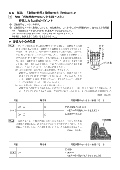 （学力向上問題集）　実験「消化酵素のはたらきを調べよう」