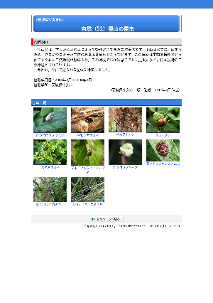 ［茨城県］自然（52）里山の昆虫