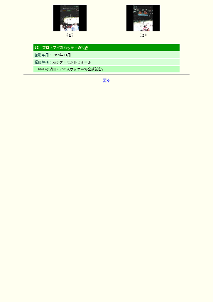 ［カナダ］プロ・アイスホッケーの試合