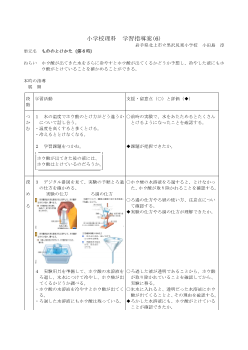 小学校理科学習指導案(6)「もののとけかた（第６時）」