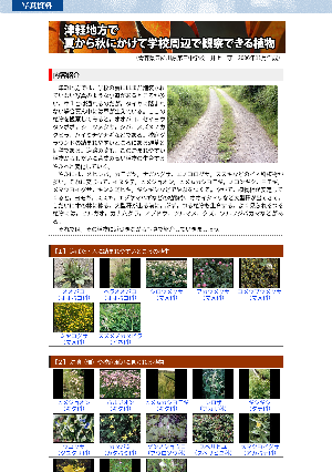 ［青森県］津軽地方で夏から秋にかけて学校周辺で観察できる植物