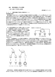 [生物 補充プリント]選択的遺伝子発現と形態形成（４）