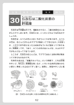 ［地学］ 石灰石は二酸化炭素の貯蔵庫（科学小話）