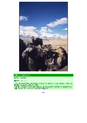 ［中国］パミール高原のらくだ