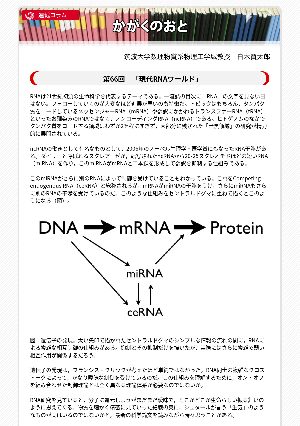 連載コラム「かがくのおと」第66回「現代RNAワールド」