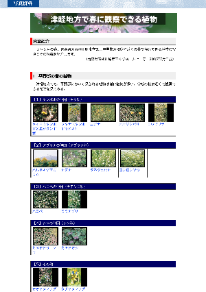 ［青森県］津軽地方で春に観察できる植物