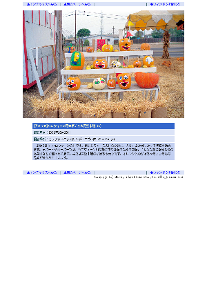 ［アメリカ］ハロウィーン用カボチャの青空市場（1）