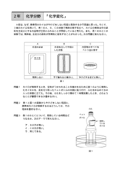 （評価問題）2年 化学分野「化学変化」