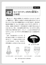 ［環境・その他］ セイヨウタンポポの繁殖力の秘密（科学小話）