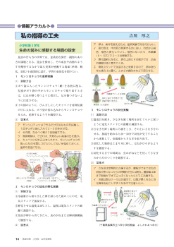 私の指導の工夫－３学年：生命の営みに感動する場面の設定－