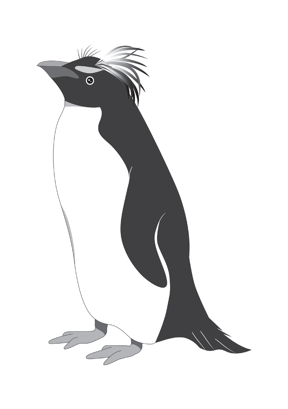 ここからダウンロード ペンギン イラスト 白黒 無料のイラストやかわいいテンプレート