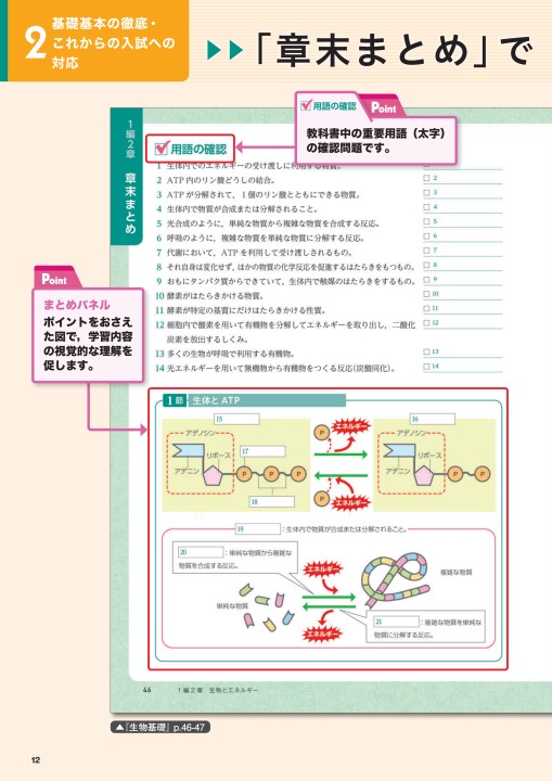 生物基礎